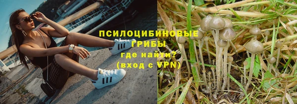 тгк Надым